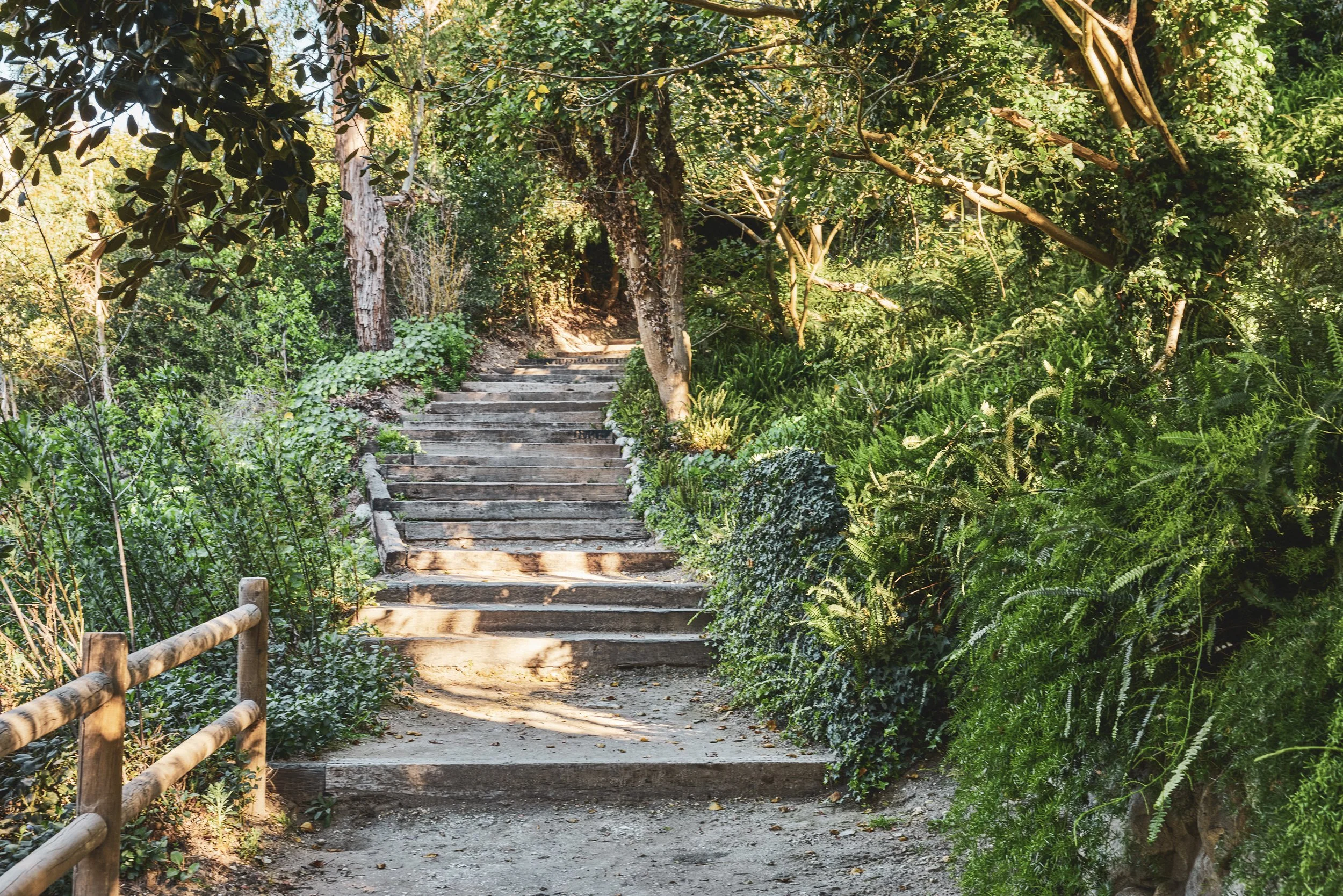 20260204_6715_FERNHILL_STEVEN_LIPPMAN 803.jpg