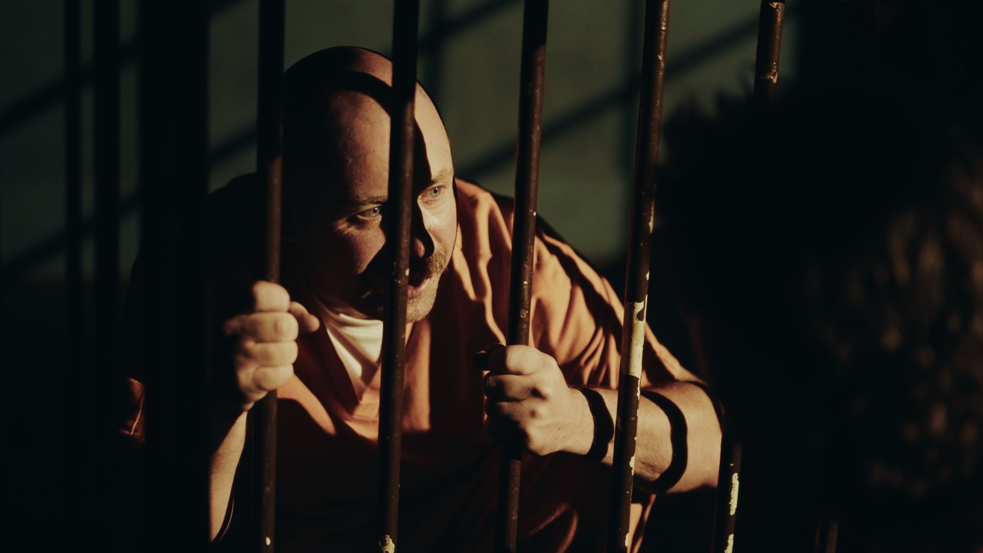 Still 2026-02-15 131154_1.67.1.jpg