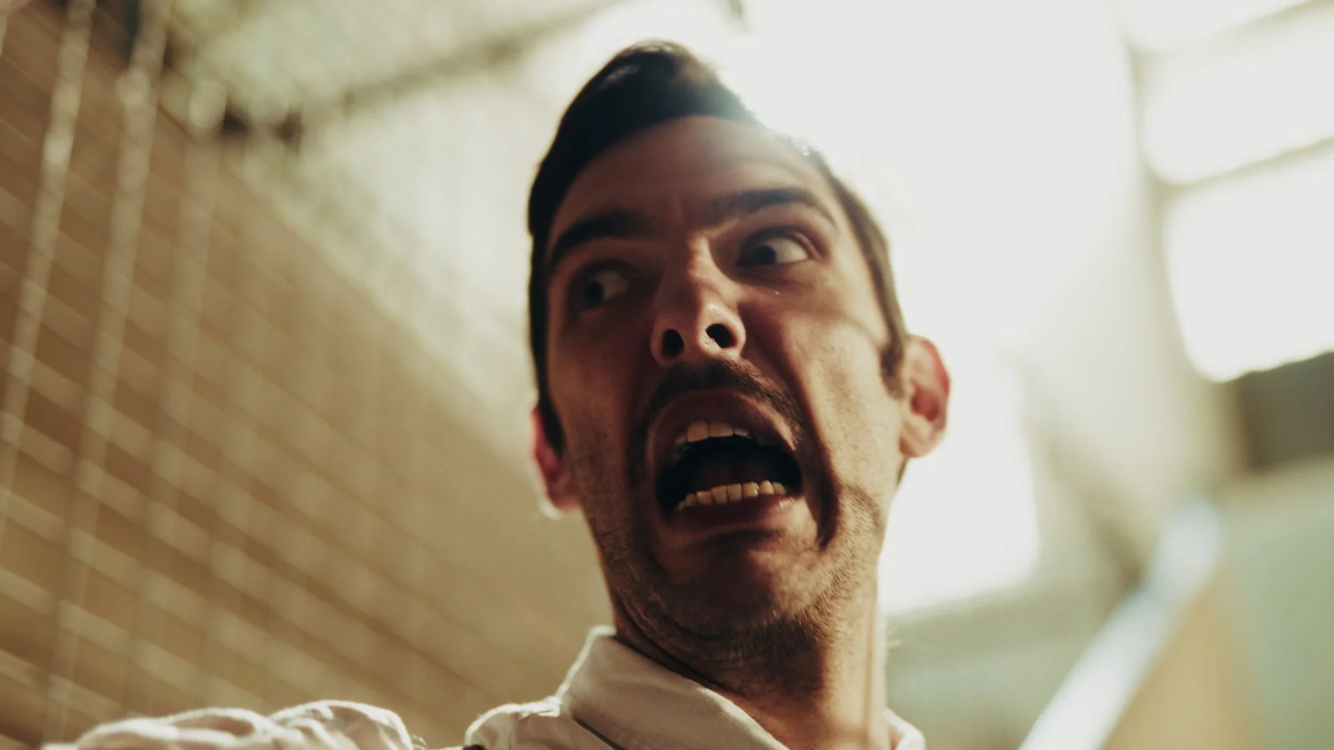 Still 2026-02-15 131154_1.52.1.jpg