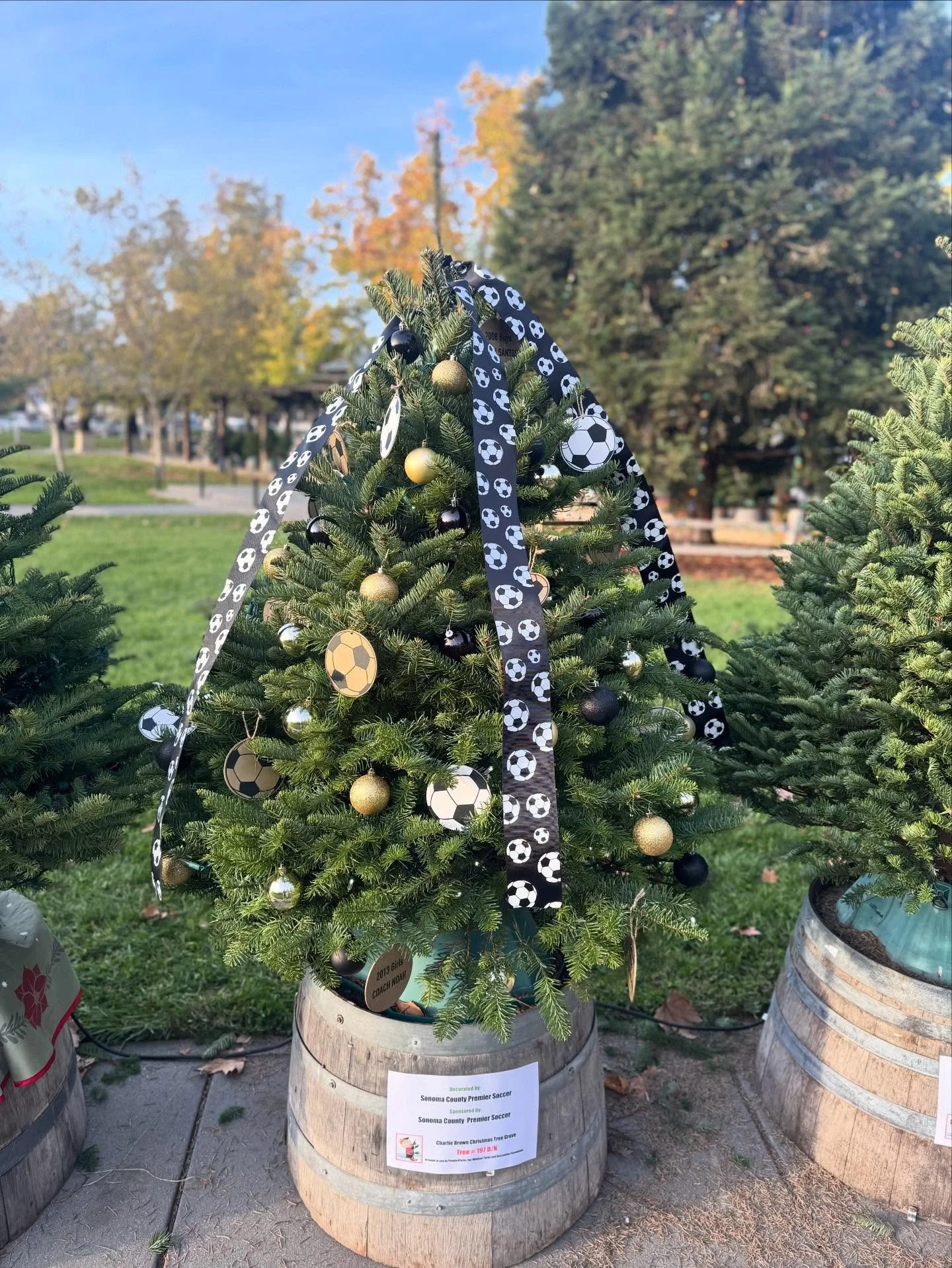 Shout out to Cassandra Cape and her son for decorating our club tree at the Town Green!  We are still looking for more teams ornaments, so please get those in!
