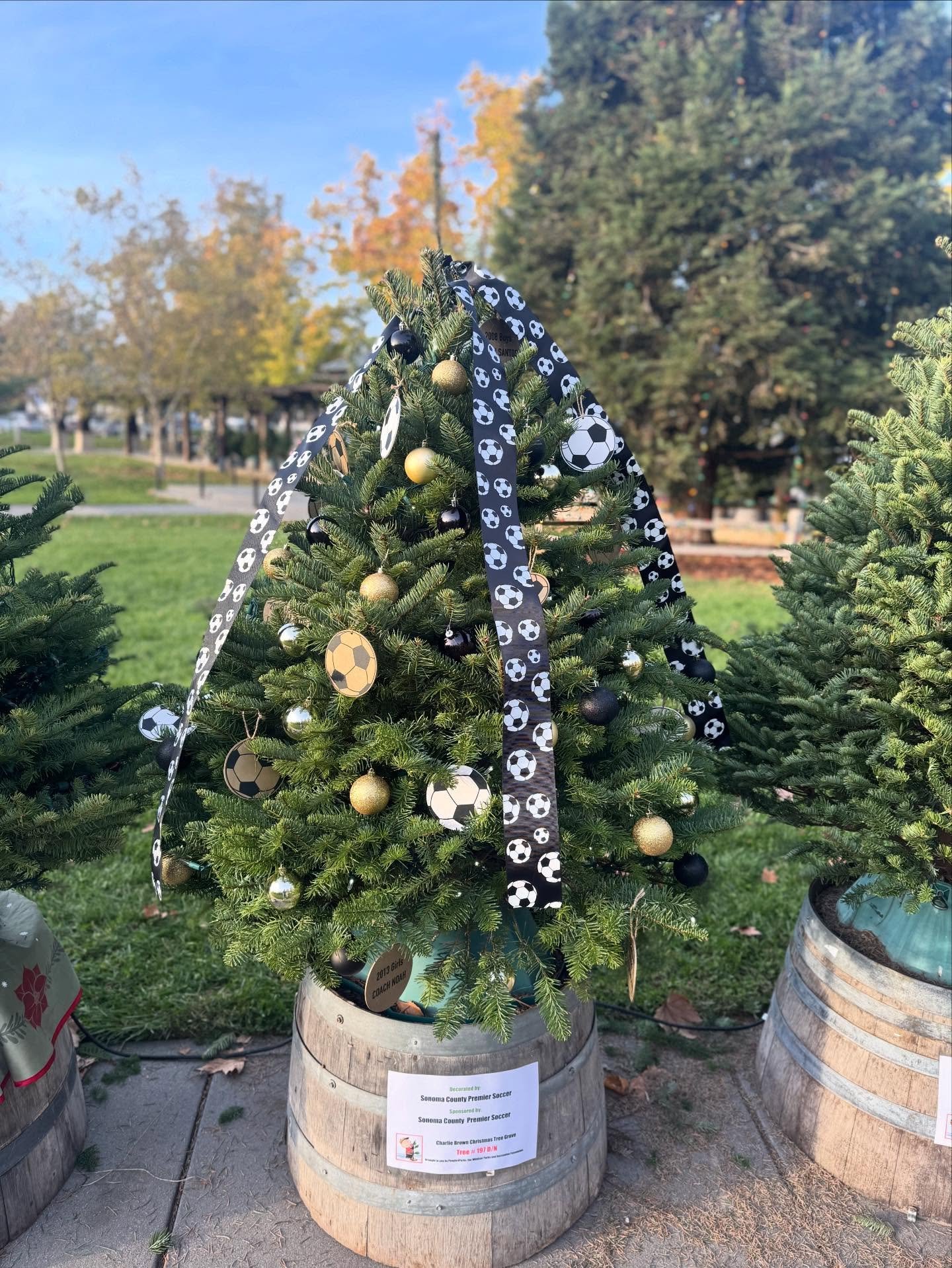 Shout out to Cassandra Cape and her son for decorating our club tree at the Town Green!  We are still looking for more teams ornaments, so please get those in!