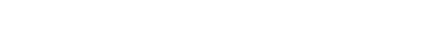 Arctica Capital