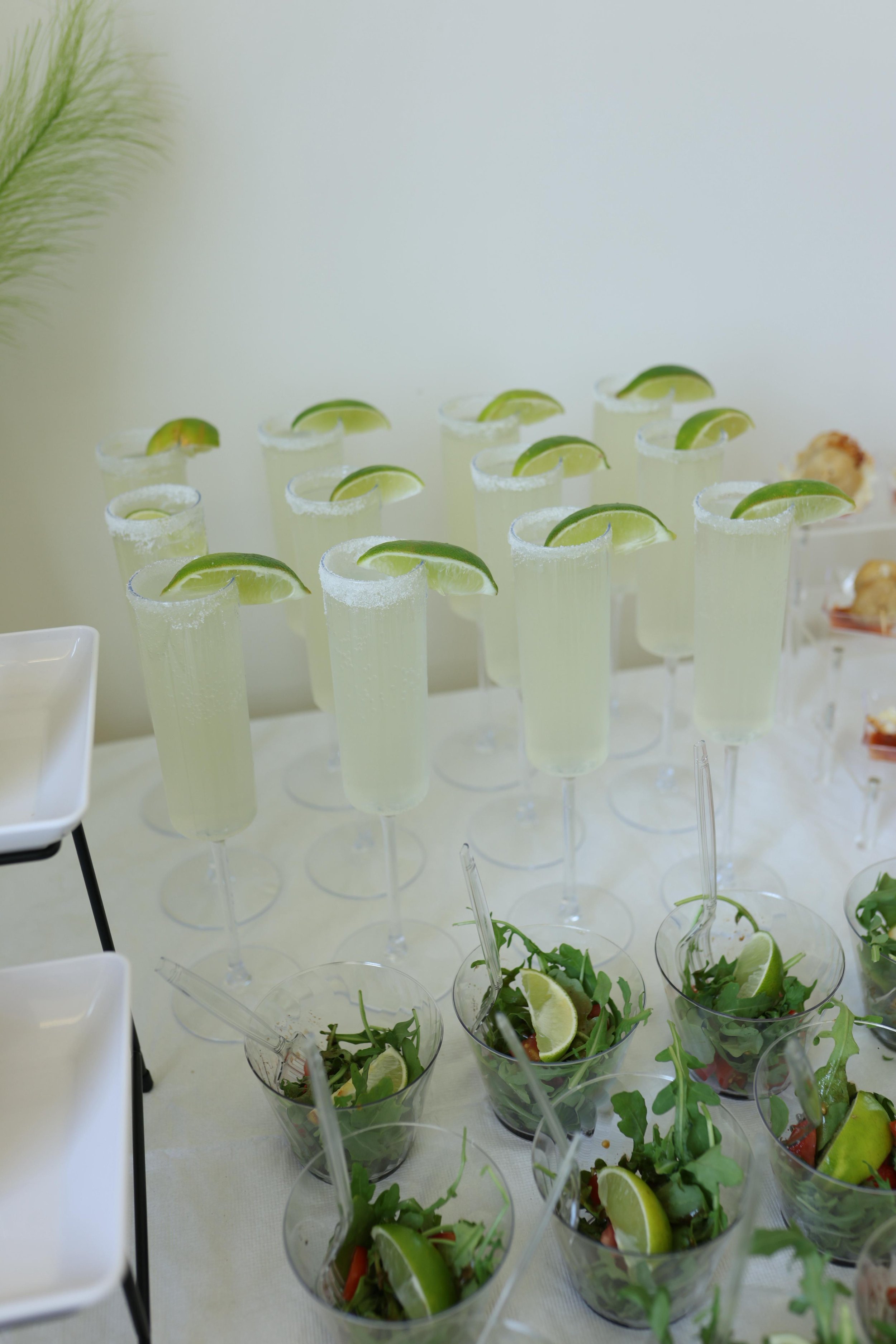 WhatsApp Image 2026-03-09 at 8.47.33 AM (4).jpeg