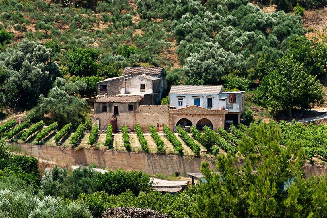 six-wineries-1140x760.jpg