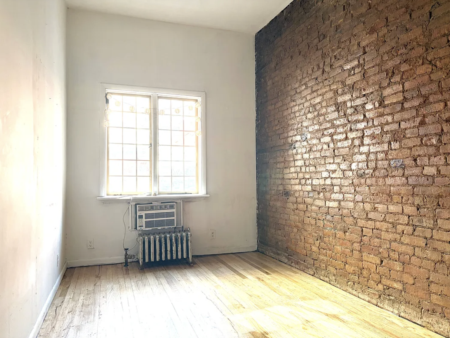 Screenshot 2026-02-24 at 10.57.37 AM.png