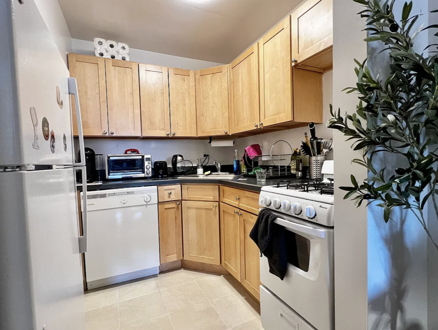 Screenshot 2026-03-26 at 11.40.03 AM.png