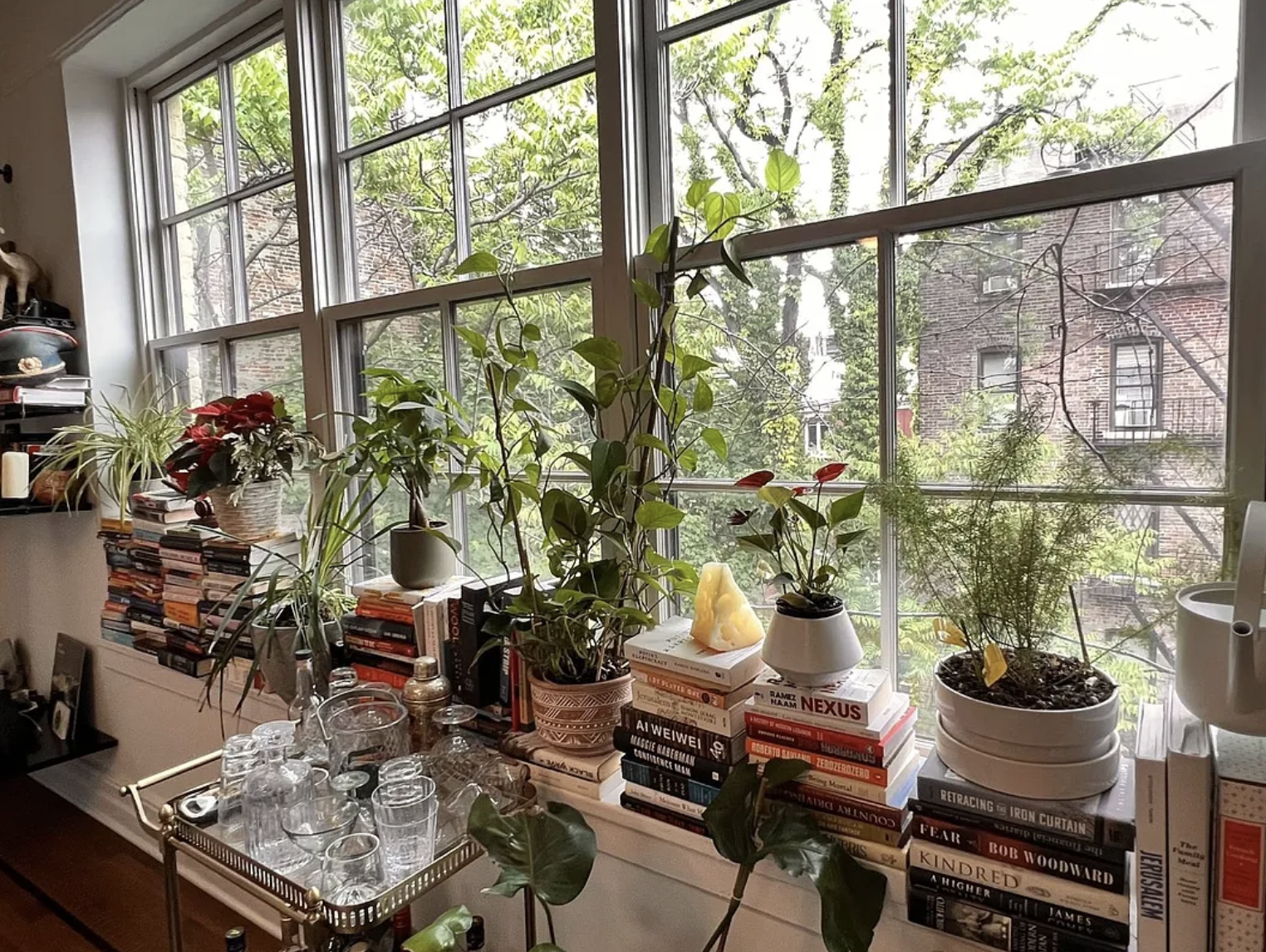 Screenshot 2026-03-09 at 7.05.04 PM.png