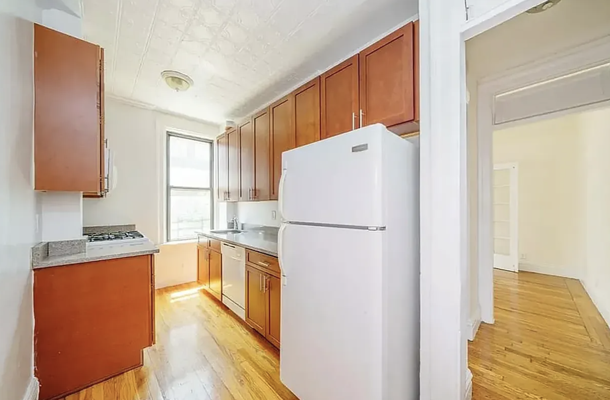 Screenshot 2026-03-20 at 12.55.06 PM.png