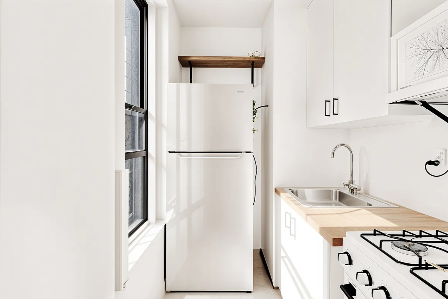 Screenshot 2026-02-25 at 10.07.02 AM.png