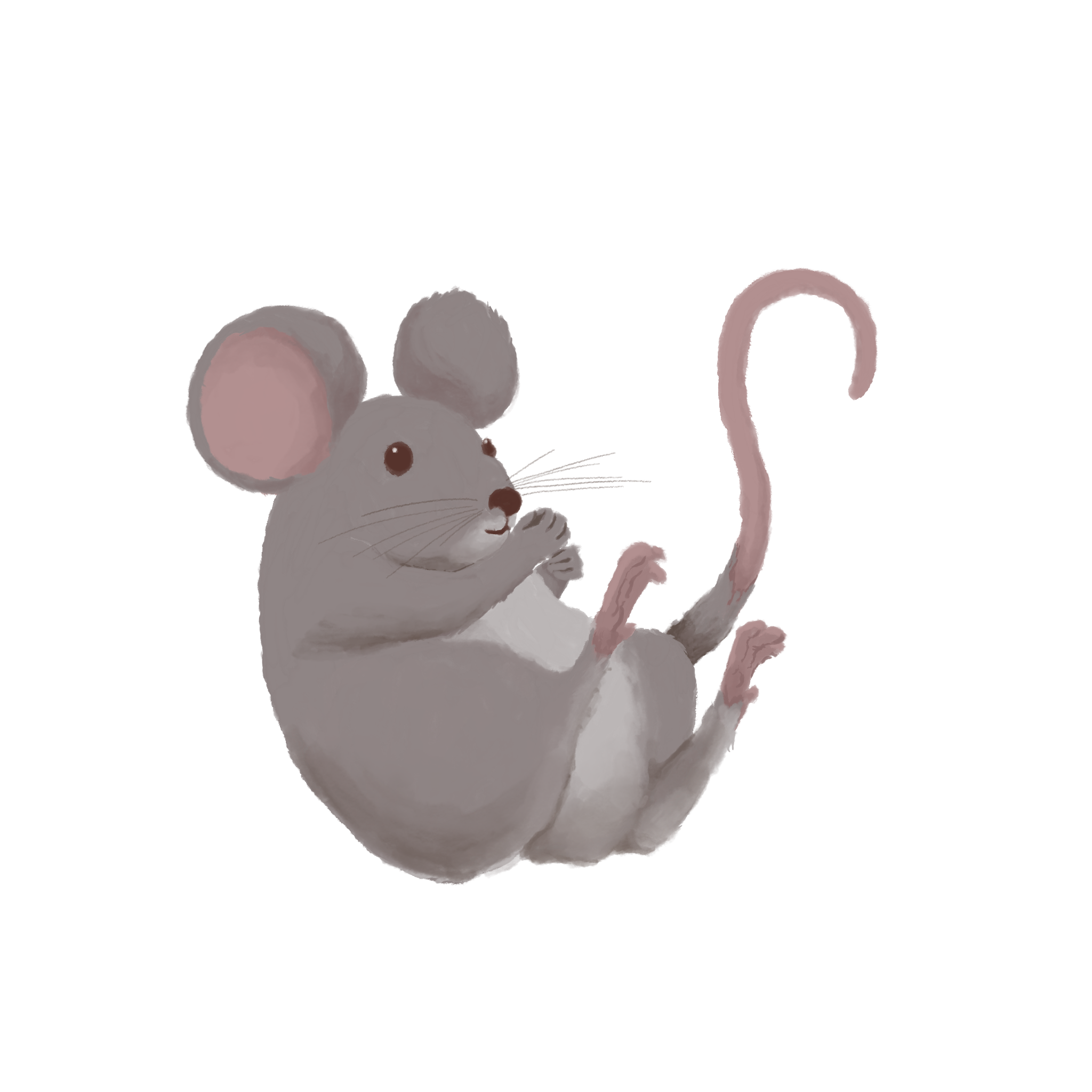 Kite Base_Rat.PNG