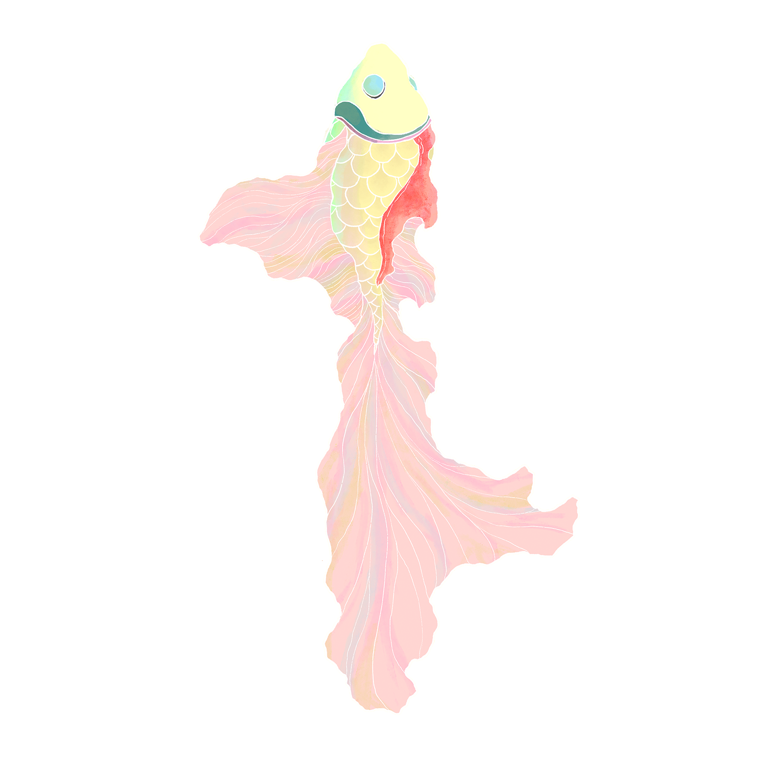 kite 2 night.png