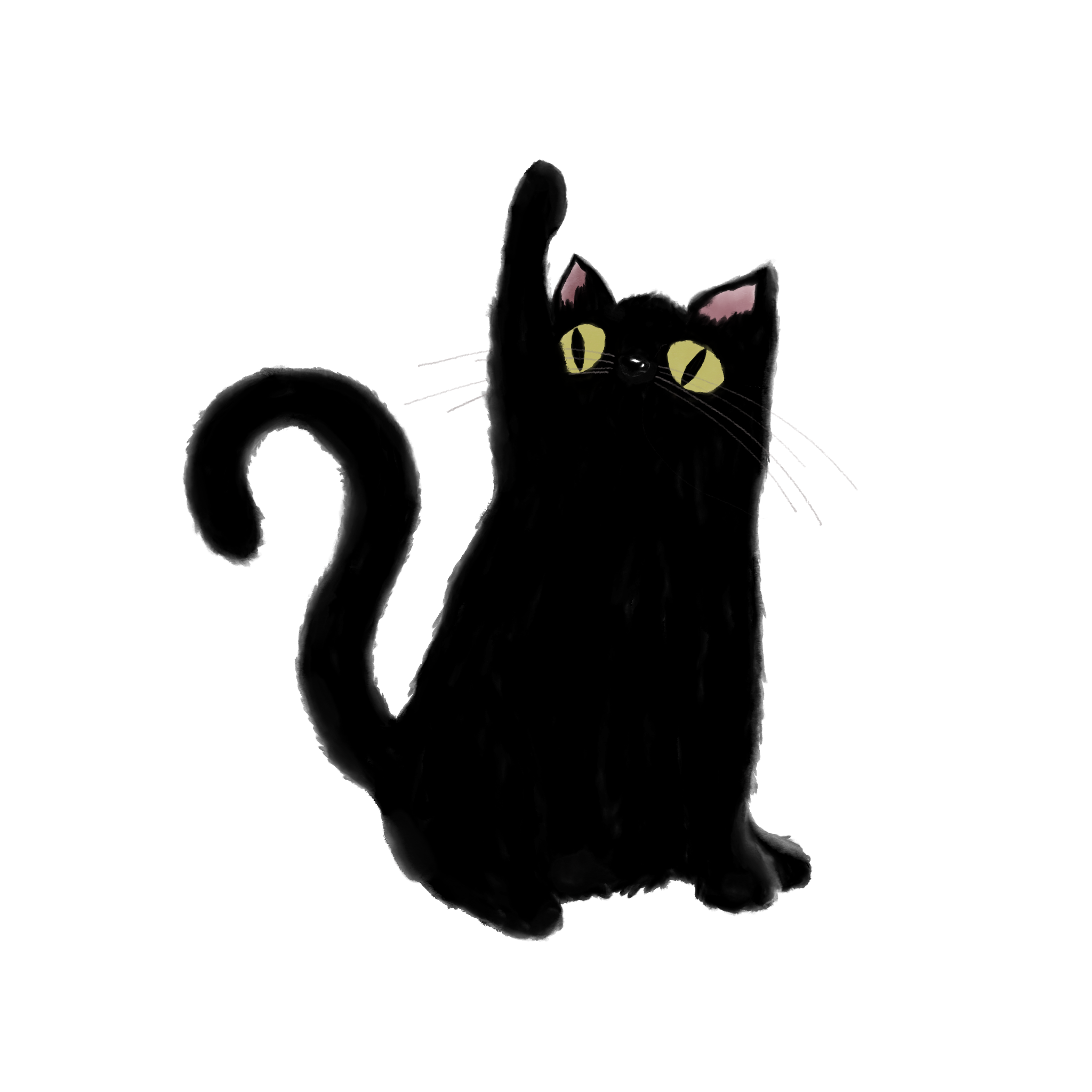 Kite Base_Cat.PNG