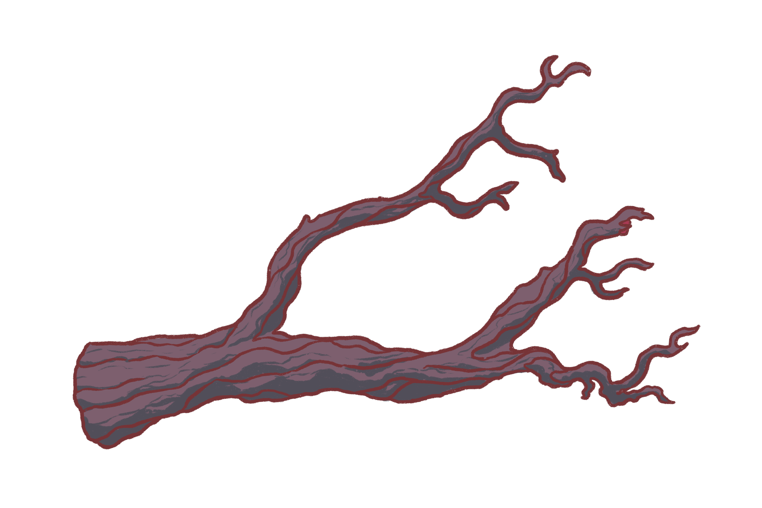 Fallen Tree.PNG