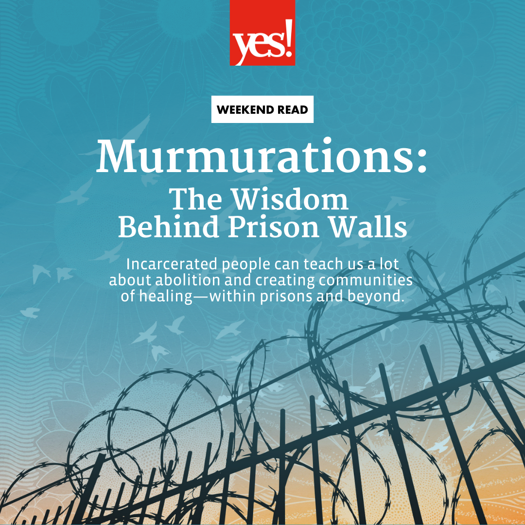 Murmurations Weekend Read Prison 8.2024.png