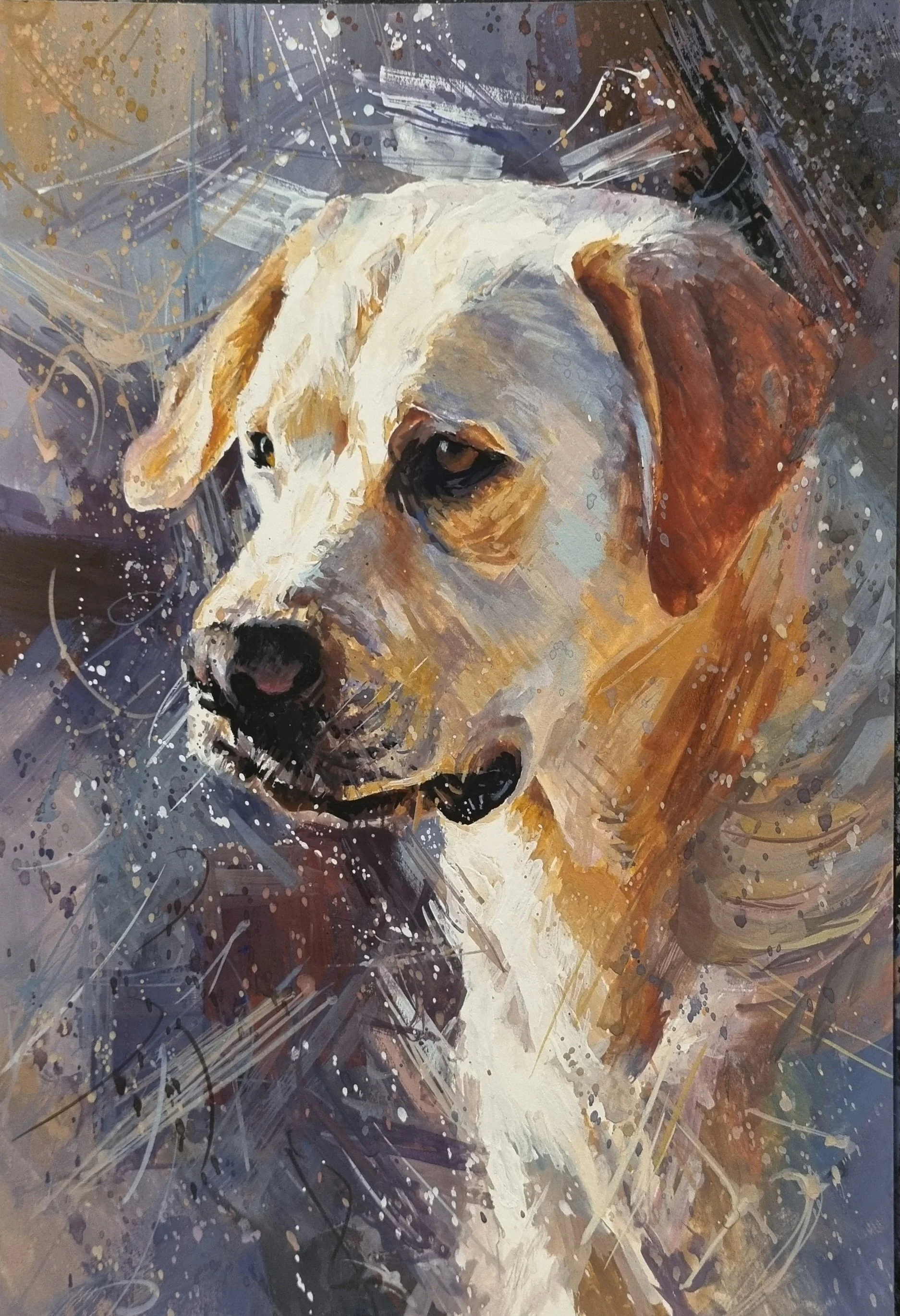 expressive dog 3.jpg