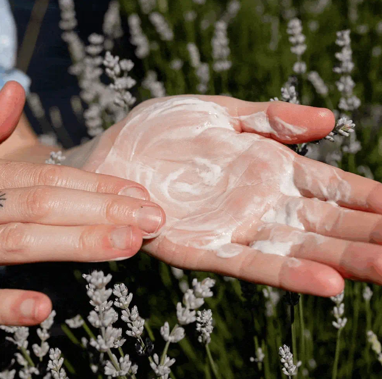 Screenshot 2026-03-30 at 12.26.41 PM.png