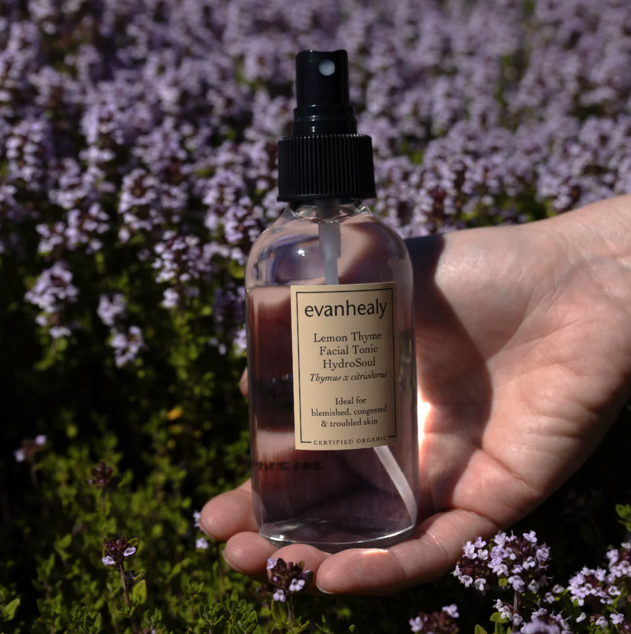 Screenshot 2026-03-30 at 11.50.48 AM.png