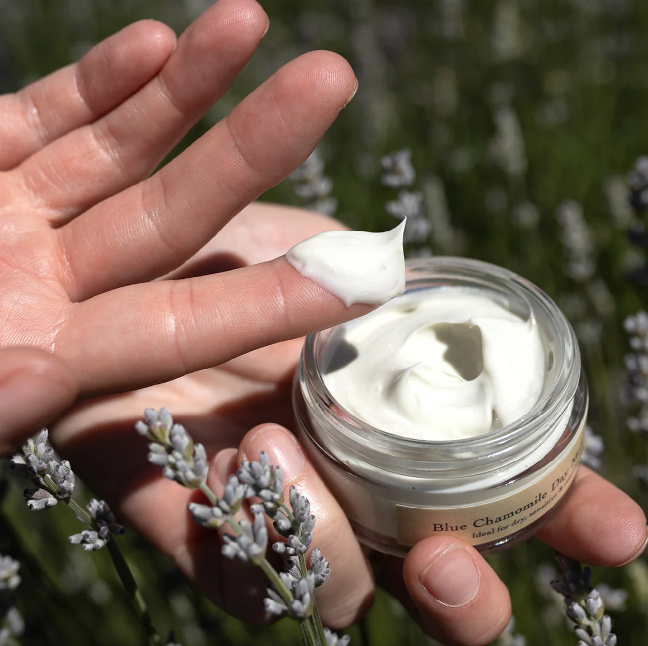 Screenshot 2026-03-30 at 12.18.12 PM.png