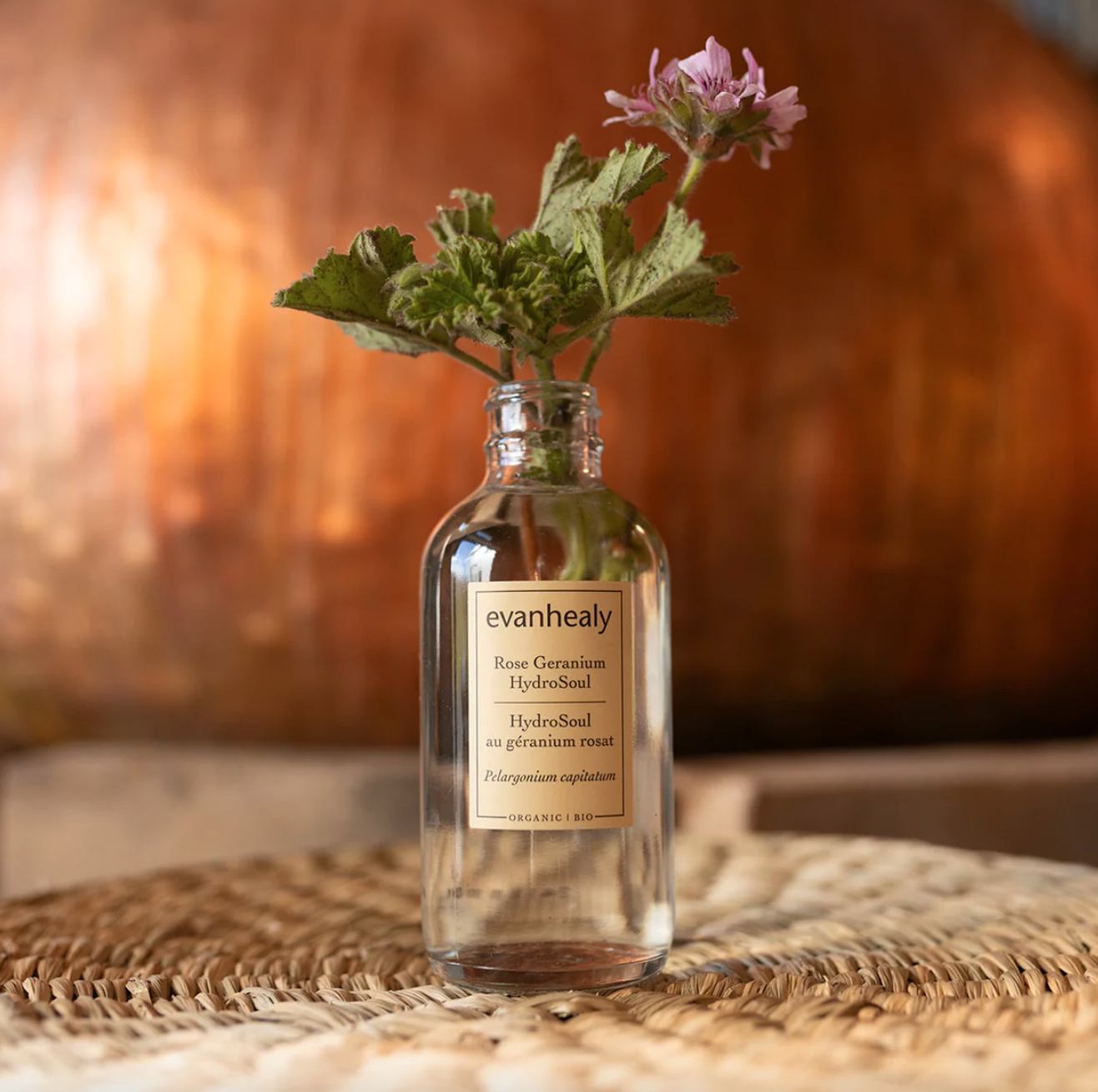 Screenshot 2026-03-30 at 12.02.36 PM.png