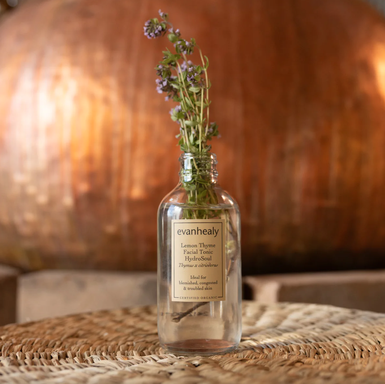 Screenshot 2026-03-30 at 11.50.26 AM.png