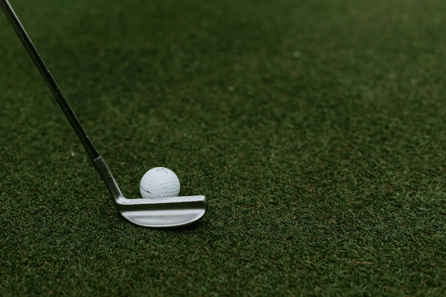 Foreged Indoor Country Club - Photo 1