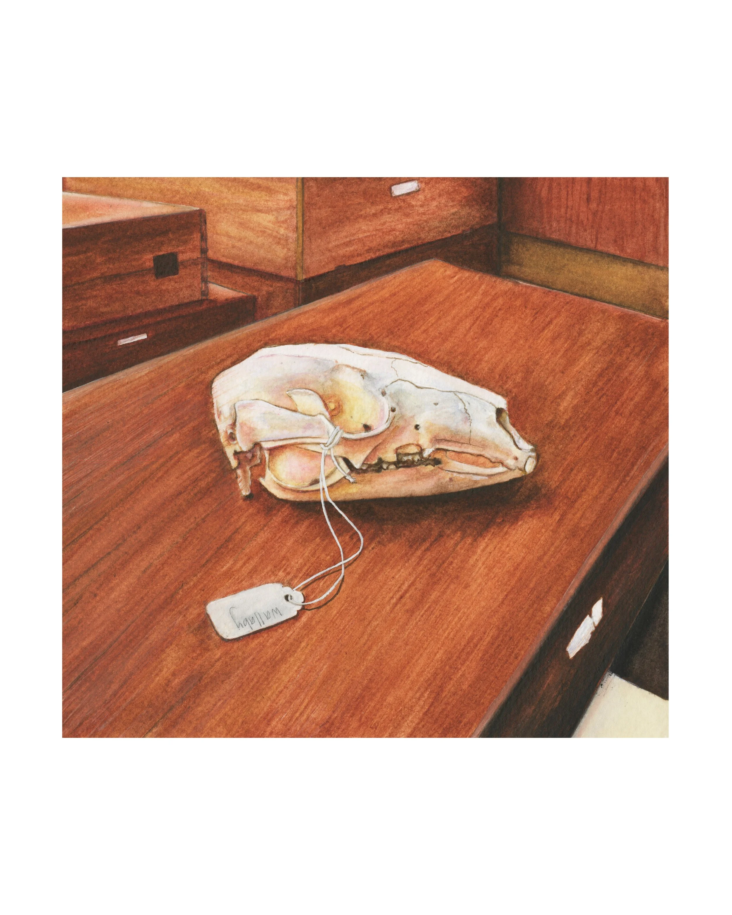 2. ROOM 303 CABINET 02 SHELF 12