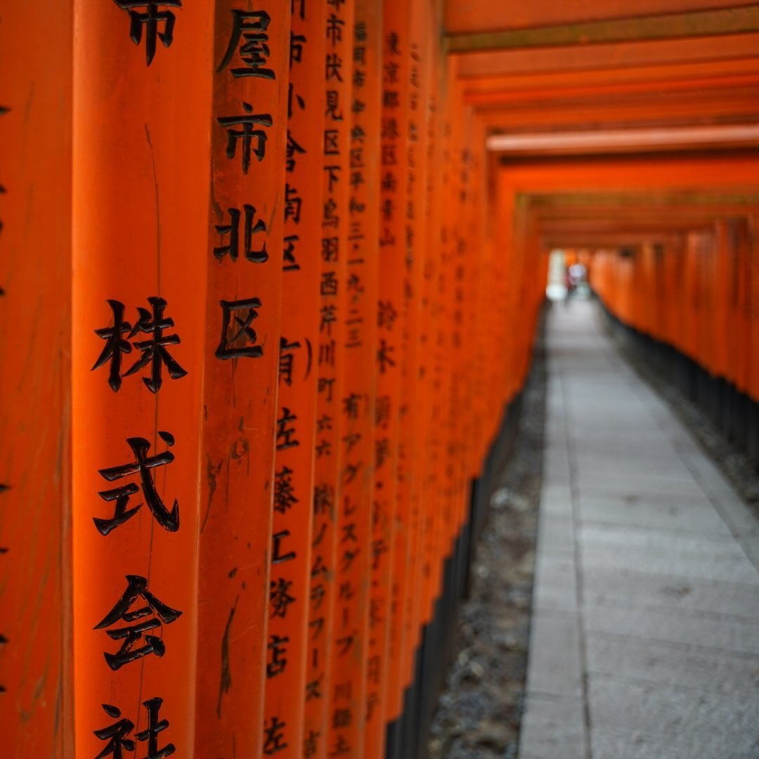 ⛩️ k.y.o.t.o ⛩️
.
2019 Trip 🥲
.

#kyoto #japan #fushimi #fushimiinaritaisha #sony #sonya7iii #tamron #tamron2875