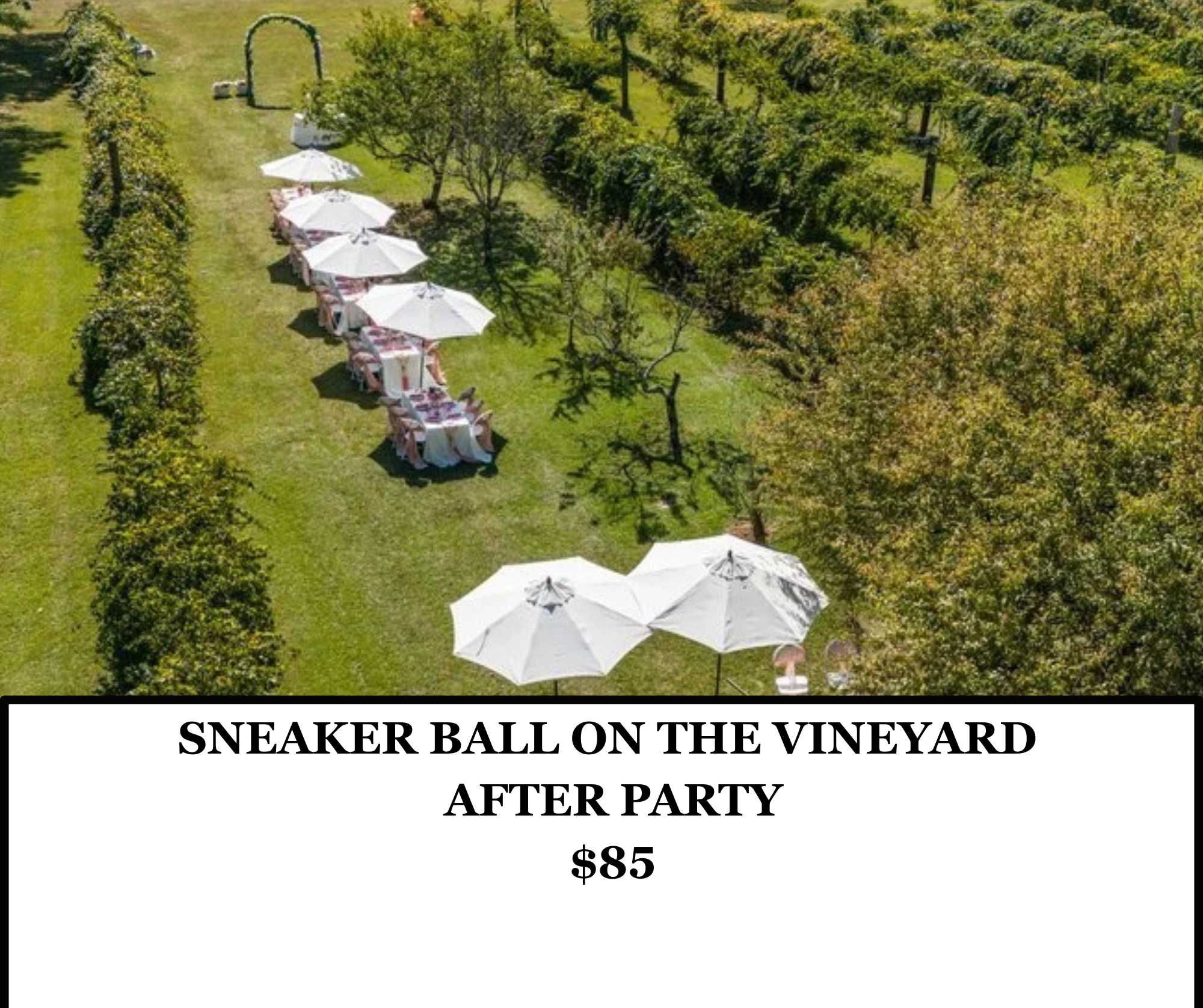Black Authors Festival @ATL - Sneaker Ball on the Vineyard  - After Party - $85