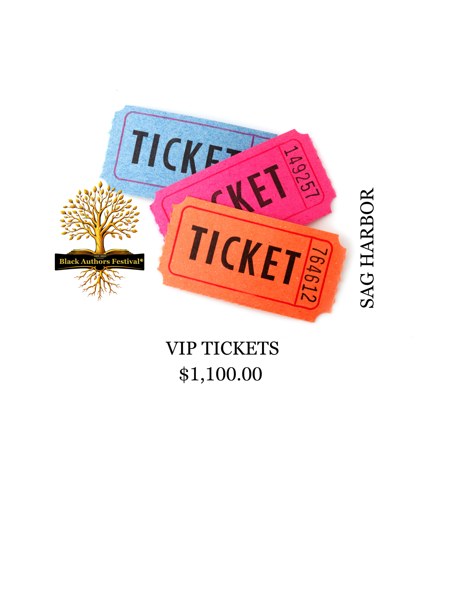 Black Authors Festival @SagHarbor VIP Ticket - 1,100.00