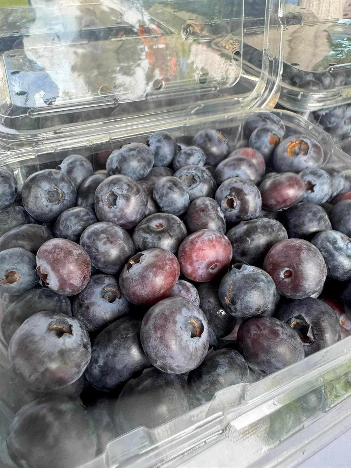 Fresh Blueberries KKFM.jpeg