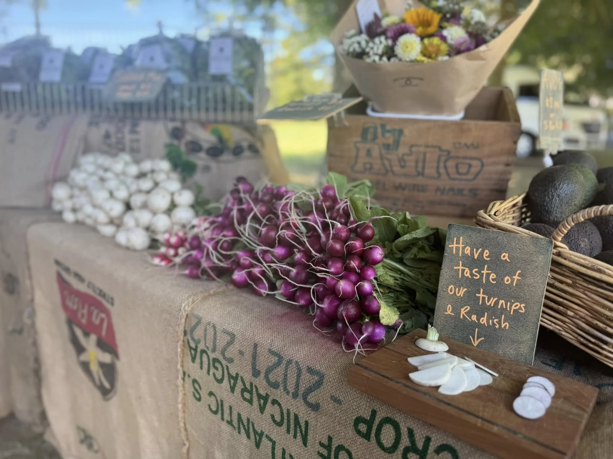 Gorw My Goodness Turnips.jpeg