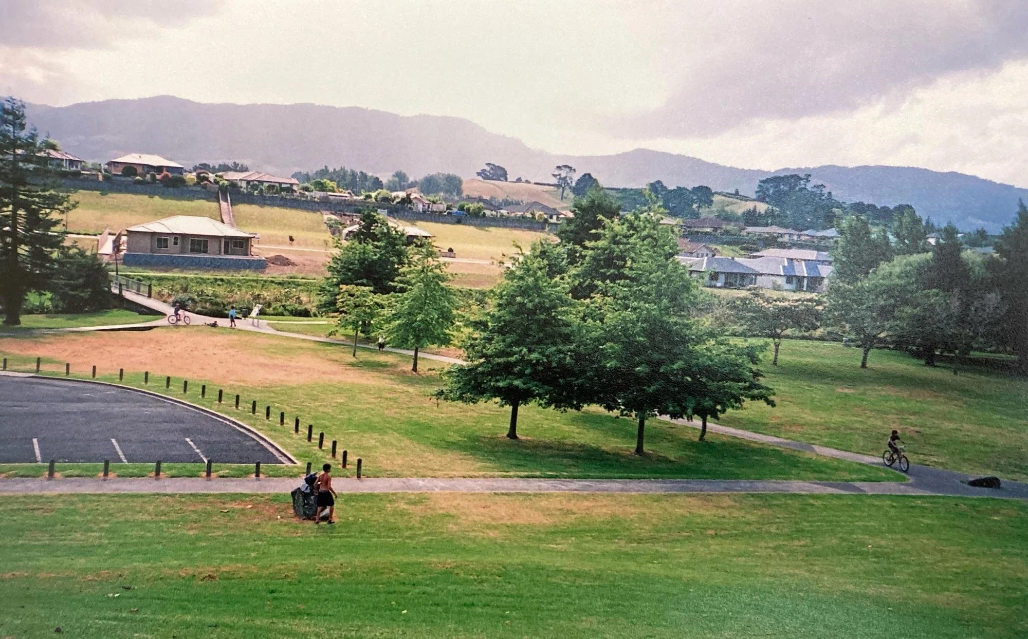Katikati Sunday Farmers Market