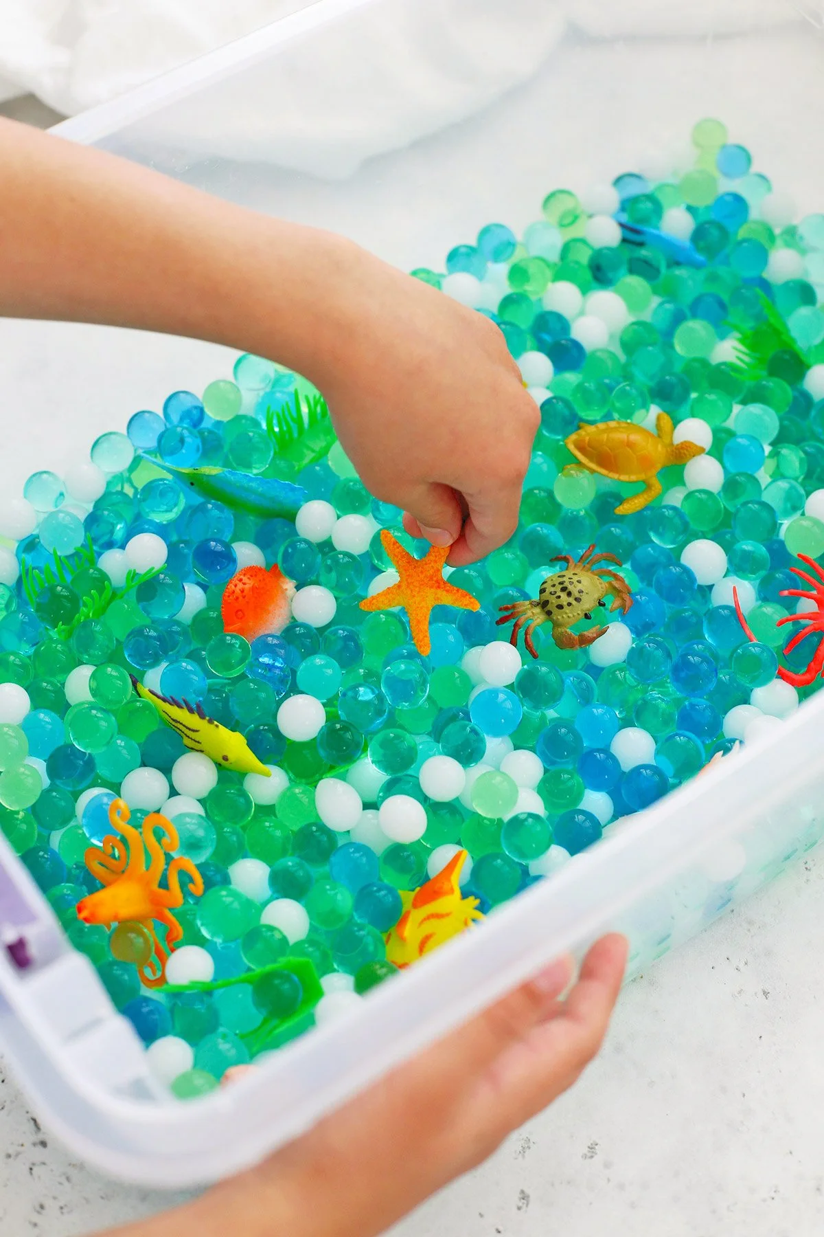 Sensory Bins