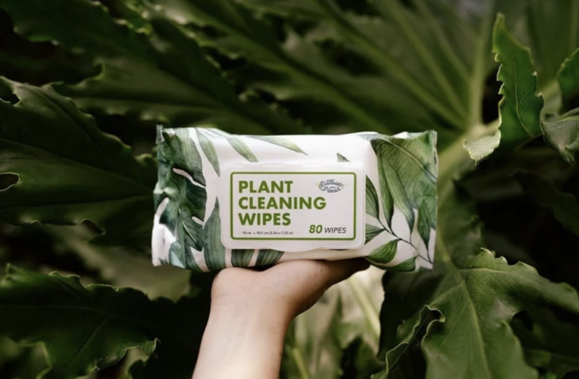 Plant Wipes