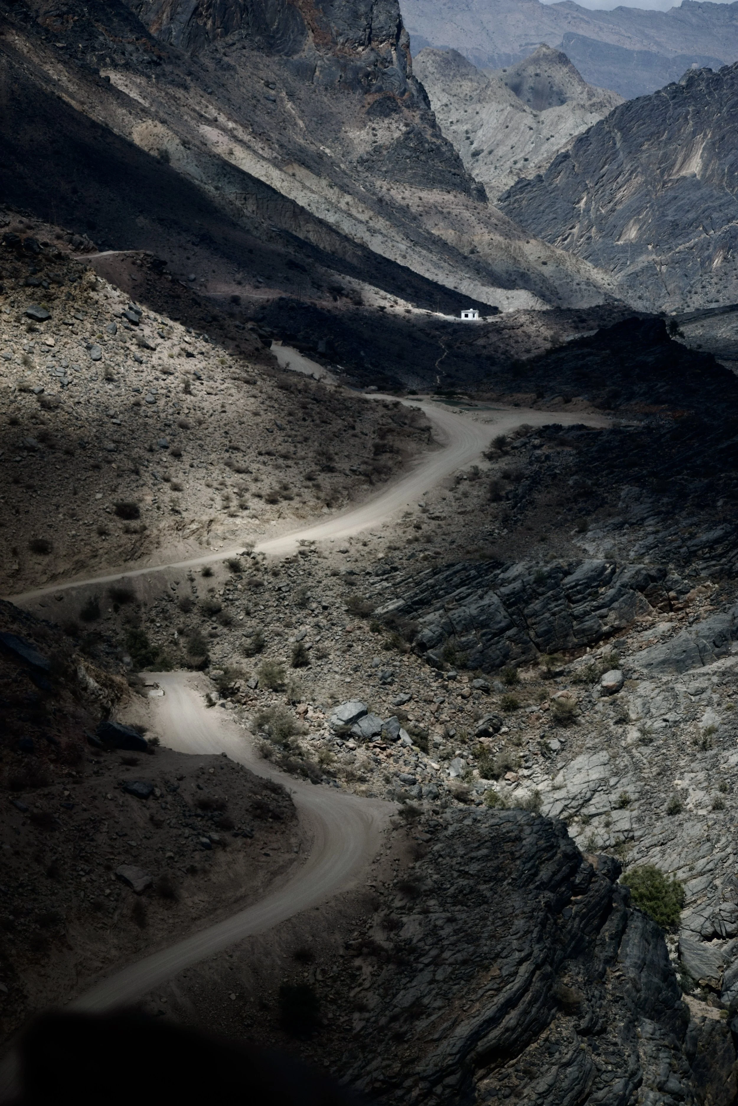DSC_0080 2.JPG
