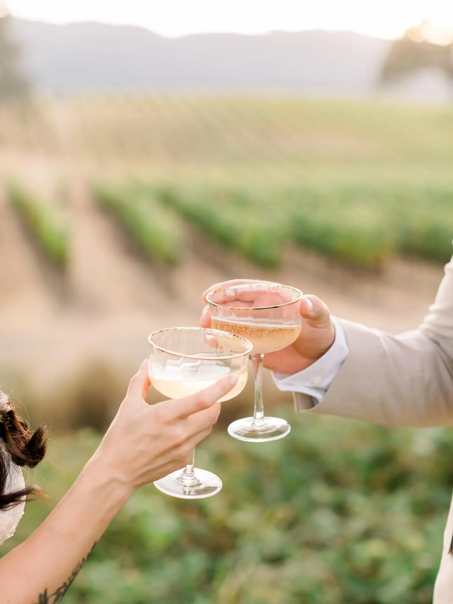 A toast to all of YOU 🥂 Your support, shares, and kind words fill my heart. And a big congratulations again to our lucky winner @nohirez06