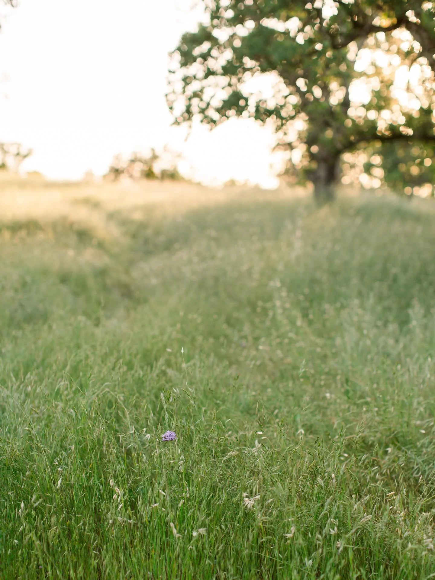 THANK YOU! From the bottom of my heart to everyone for your incredible kindness and generosity. I&rsquo;ve read every single message, and I&rsquo;m still crying happy tears 🥹 I feel so deeply loved and supported.

I&rsquo;m healing beautifully. My p