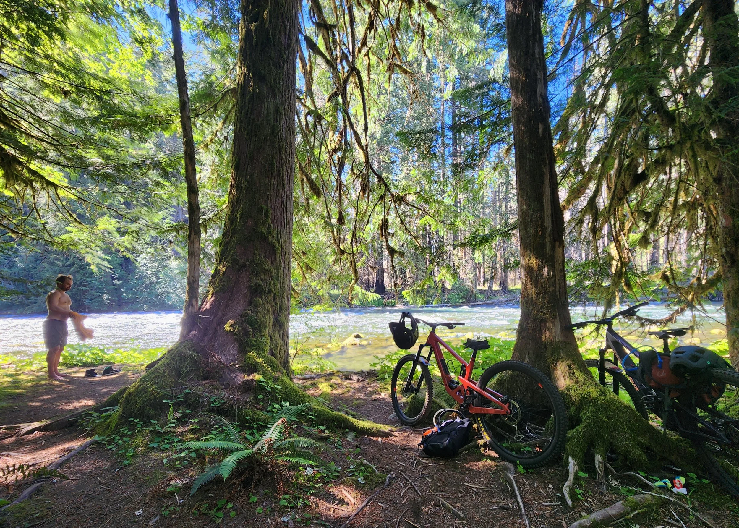 McKenzie River Trail