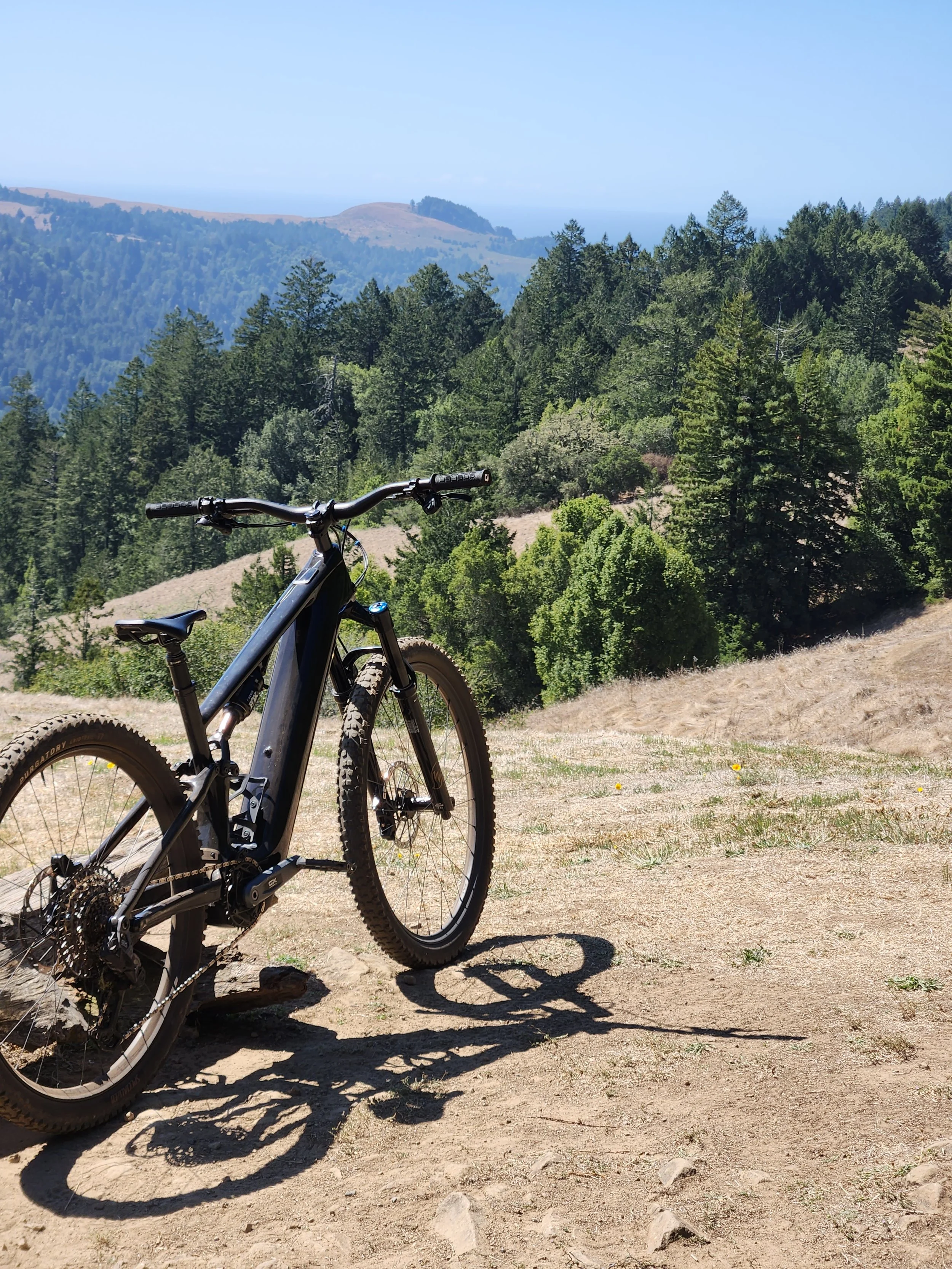 Specialized Levo Expert R