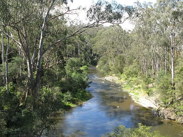 Warrandyte North – Reflecting on emotional preparedness in one of Victoria’s highest-risk landscapes