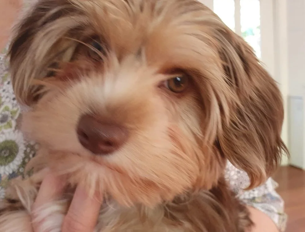 An afternoon in Emerald: When women carers turned the lens on themselves