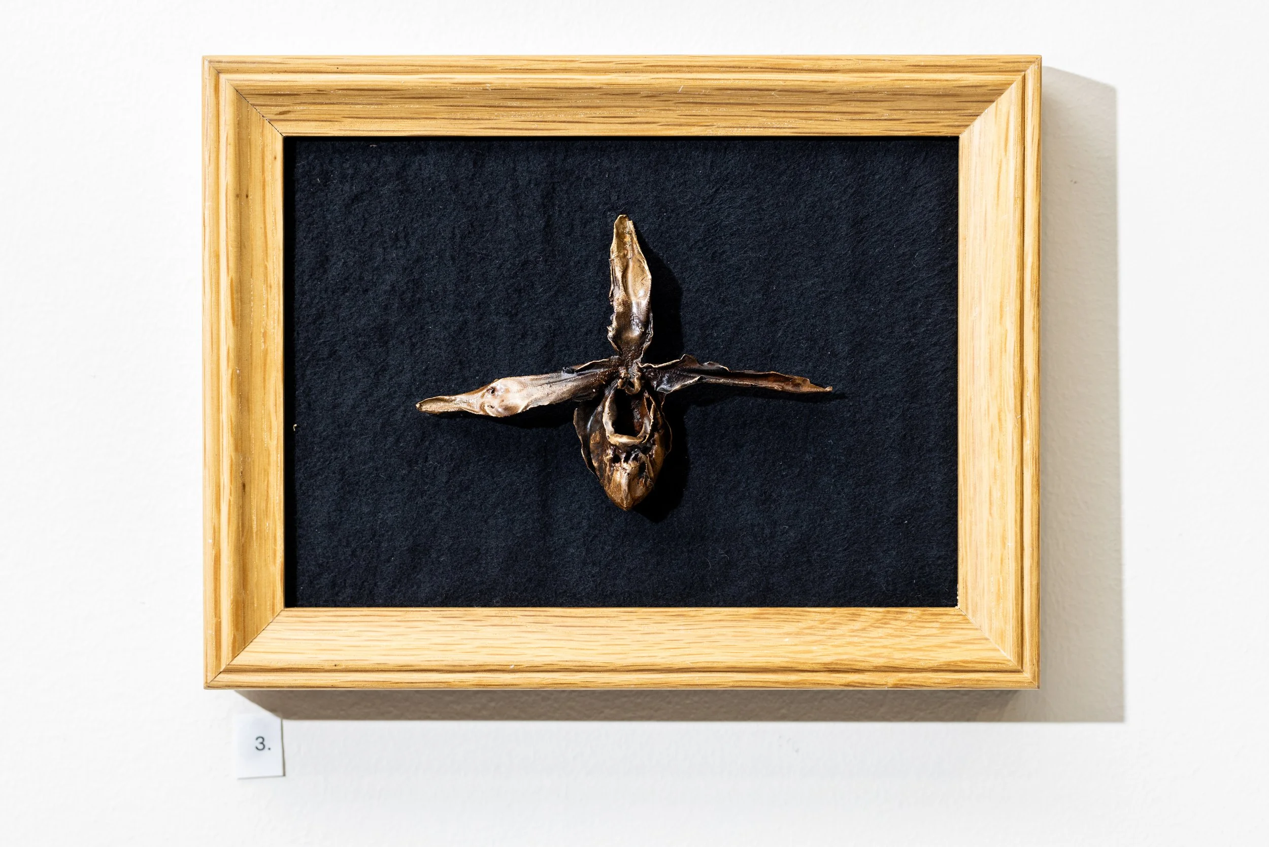 Cast Mounted Orchid, bronze 2024