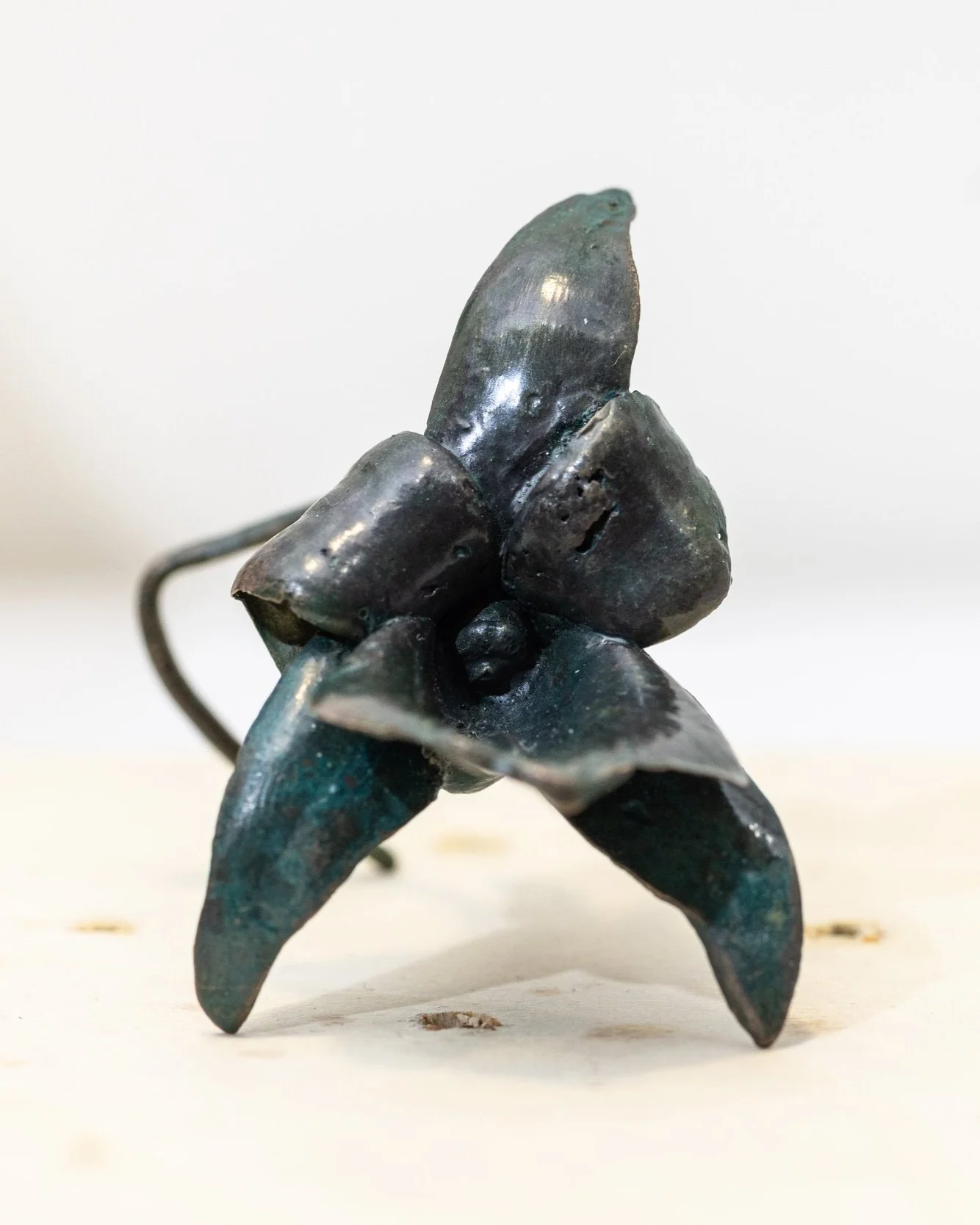 Cast Standing Orchid, bronze 2024