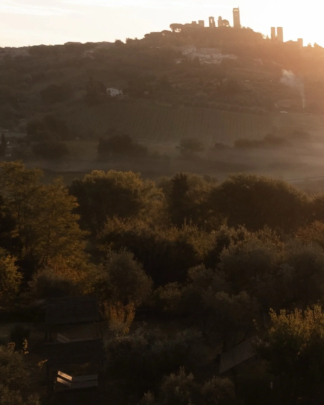 Late last year, in the early days of Autumn, we travelled to Tuscany to capture Agrivilla I Pini in all its glory. Slow living hideaway nestled among olive groves, vineyards and regenerative gardens in the hills of San Gimignano.

The brief was simpl