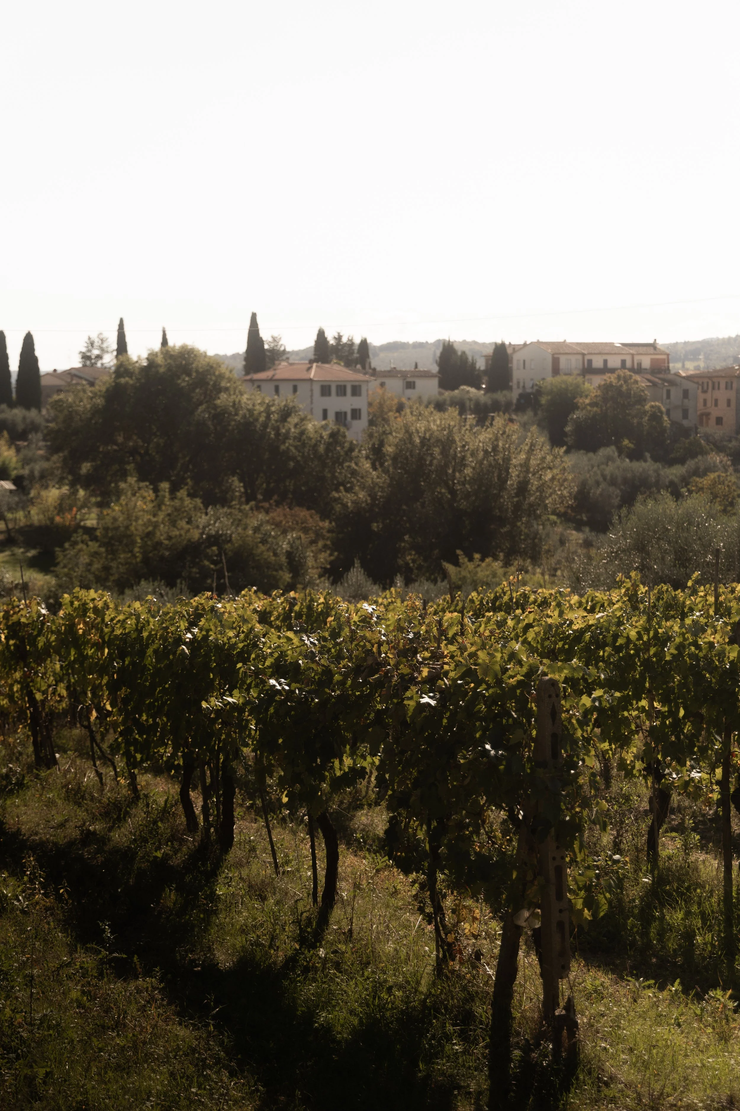 Camulos_Agrivilla-I-Pini_2025-10_PH-013.jpg