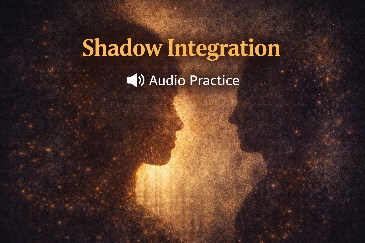 Shadow Integration