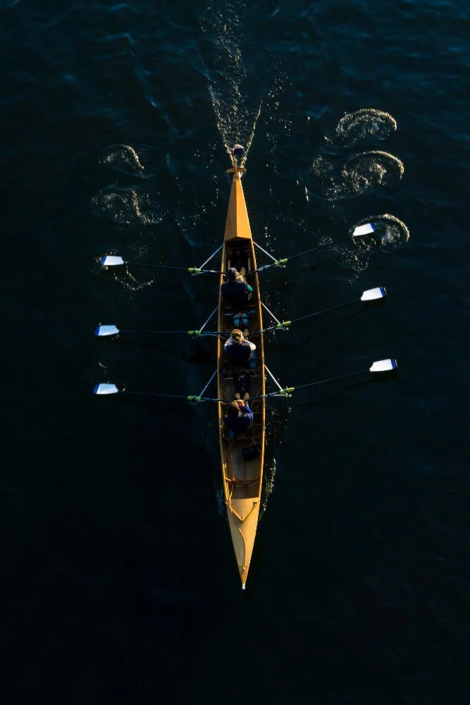 27617927.jpg