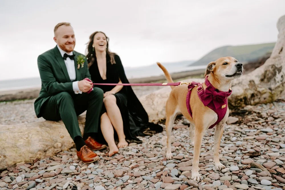 manorbiercastlewedding-19.jpg