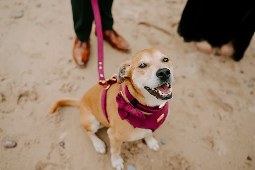manorbiercastlewedding-21.jpg