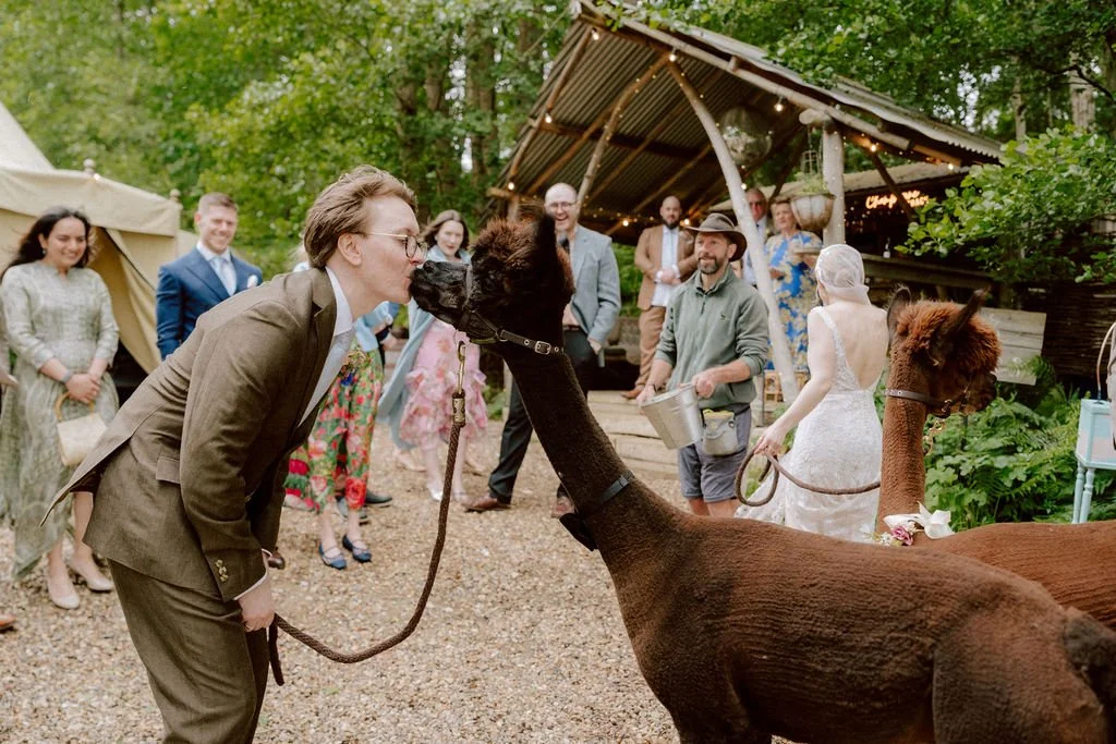wilderness kent wedding alapaca